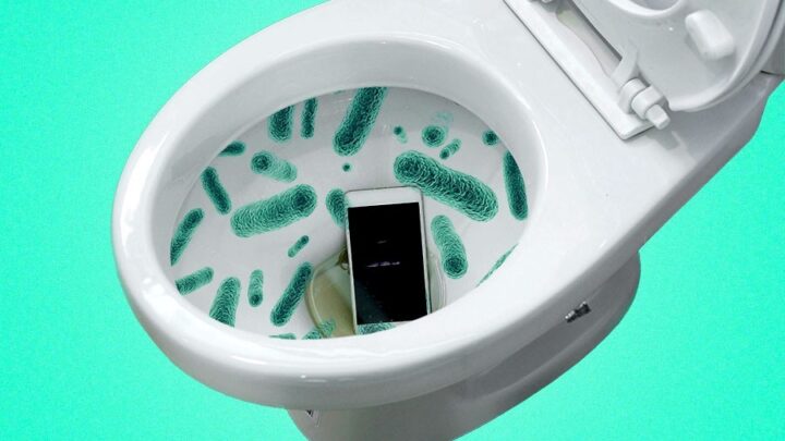 How to Disinfect Mobile after Dropping in Toilet