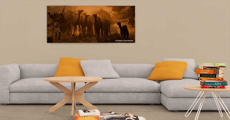 What Are the Various Benefits of Canvas Printed Photos as Compared to Traditional Photos?