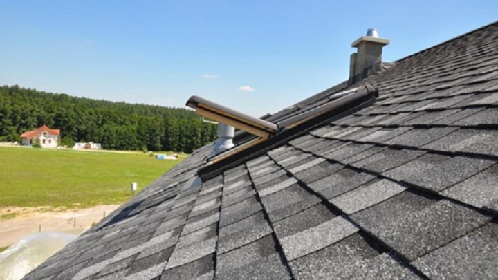 All You Need to Know About Roofing Waikato: The Basics of Residential and Commercial Roofing