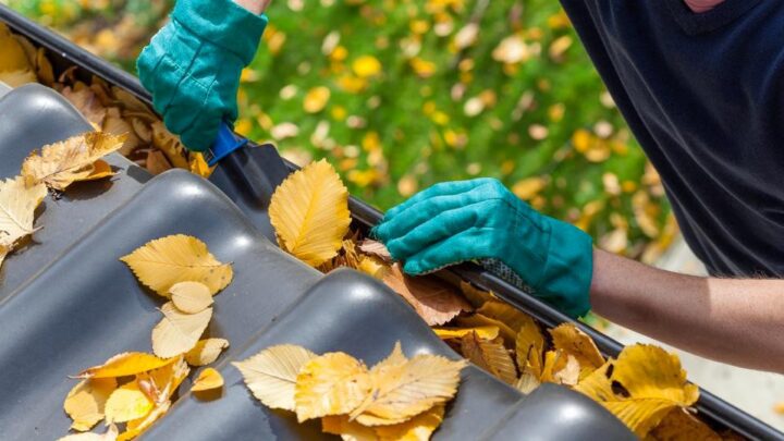What You Need to Know About the Value of Clean Gutters