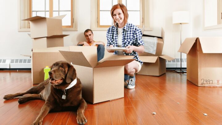 Moving With Your Pet- Before, During, and After