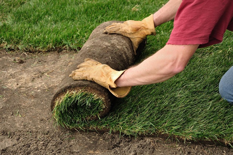 Sod Installation Simplified Tips for a Seamless Lawn