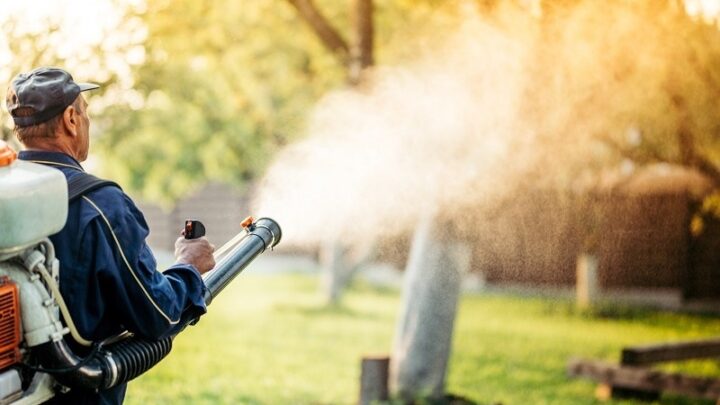 Seasonal Mosquito Treatments: Your Year-Round Shield for a Pest-Free Yard