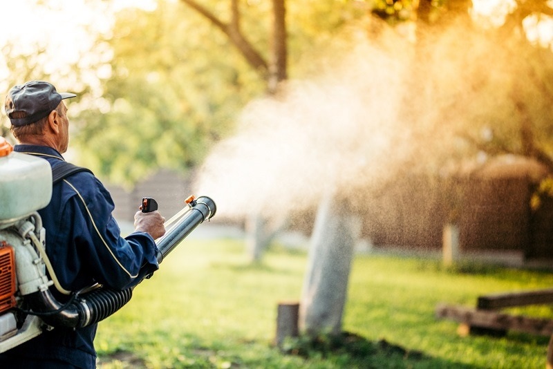 Seasonal Mosquito Treatments: Your Year-Round Shield for a Pest-Free Yard