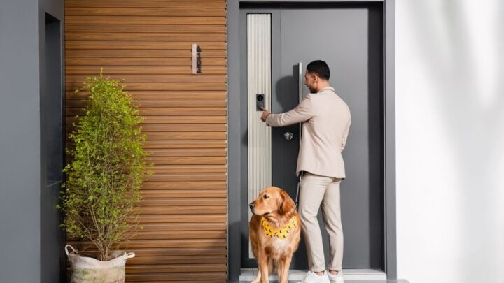 Pet-Friendly Wireless Alarm Systems: How to Stop False Alarms from Your Dog or Cat
