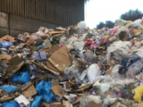 Mixed Waste vs. Sorted Waste: Does It Really Affect Your Price?